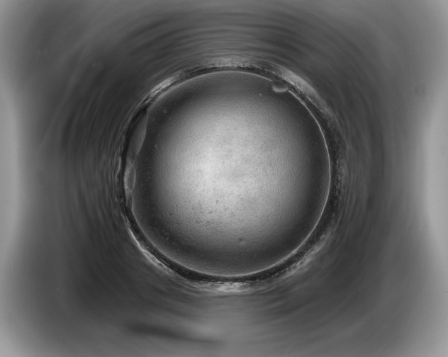 X0000087550841200704271207