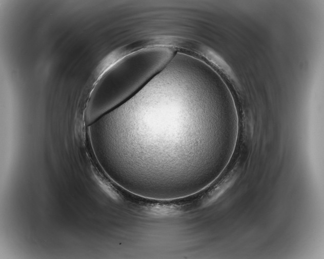 X0000087550842200704271207