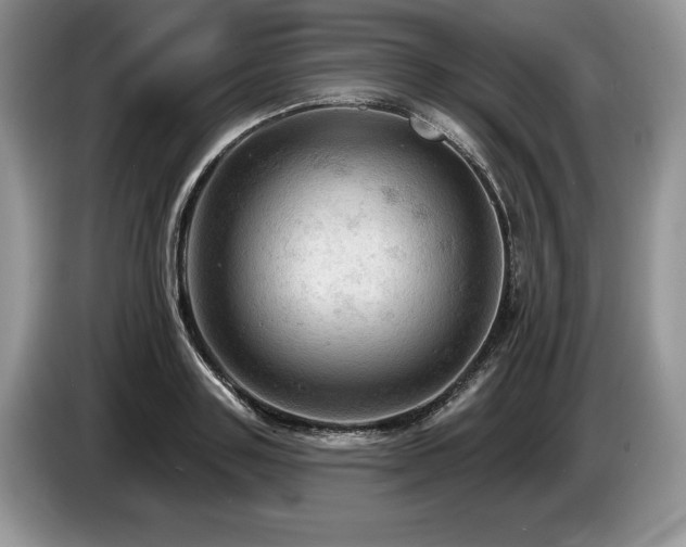 X0000087550843200704271207
