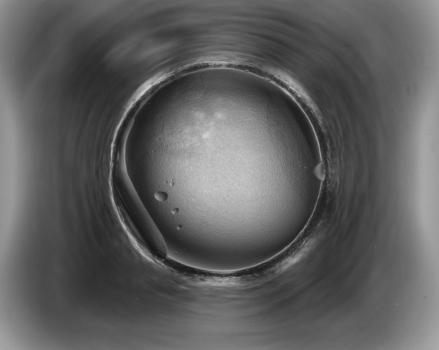 X0000087550845200704271207