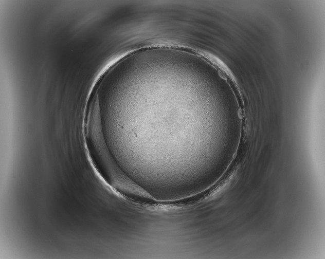 X0000087550847200704271207