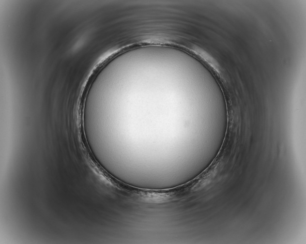 X0000087550848200704271207