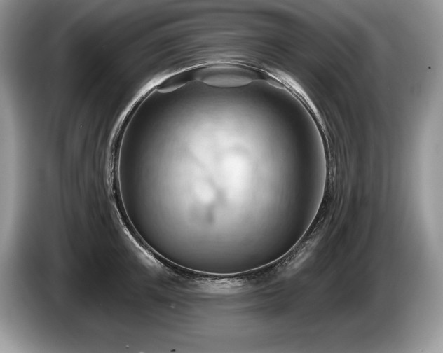 X0000087550851200704271207