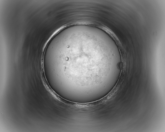 X0000087550852200704271207