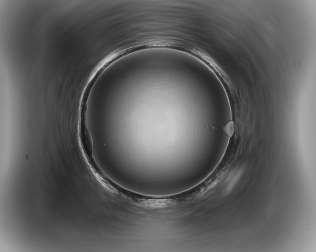X0000087550853200704271207