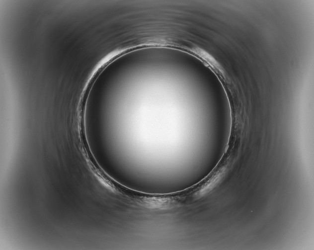 X0000087550854200704271207