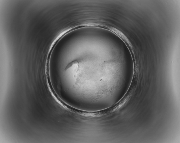X0000087550855200704271207