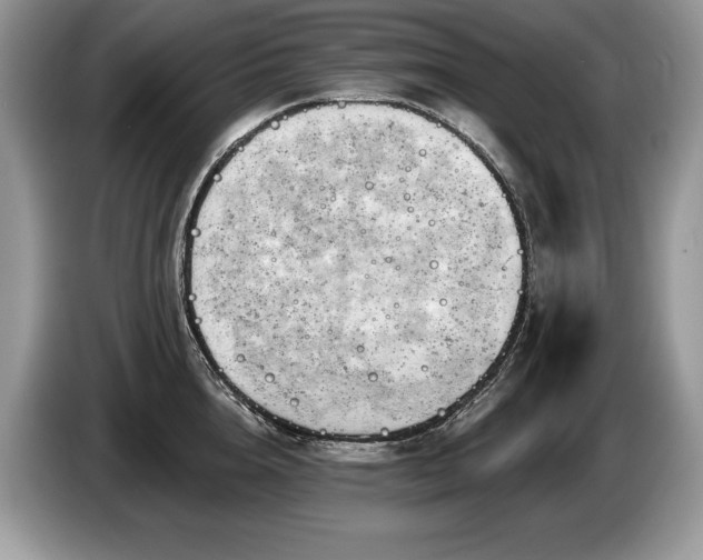 X0000087550856200704271207