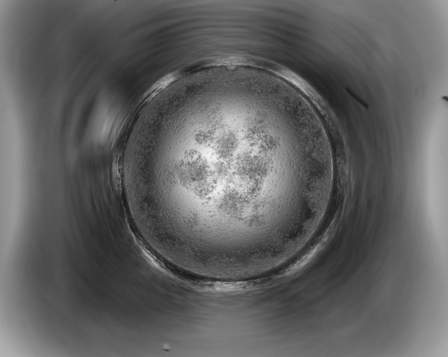 X0000087550857200704271207