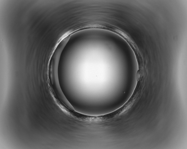 X0000087550858200704271207