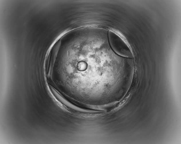 X0000087550859200704271207