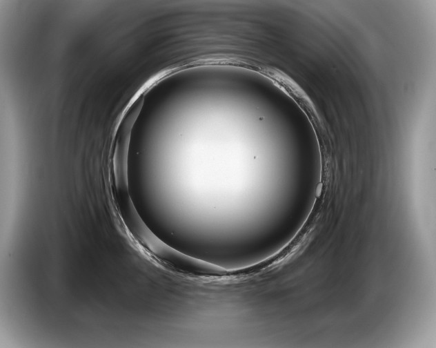 X0000087550860200704271207