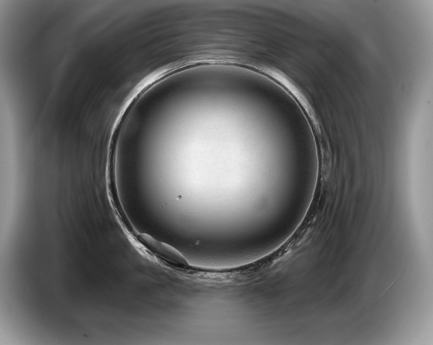 X0000087550861200704271207