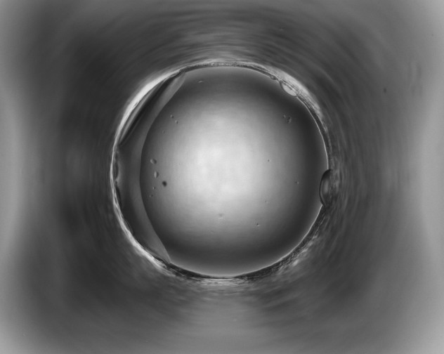 X0000087550863200704271207