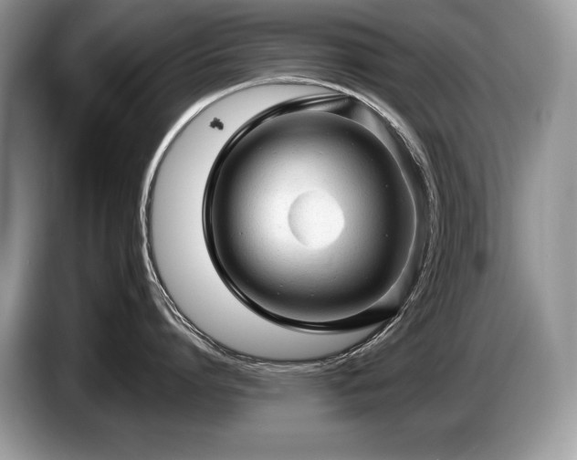 X0000087550864200704271207