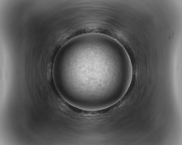 X0000087550868200704271206