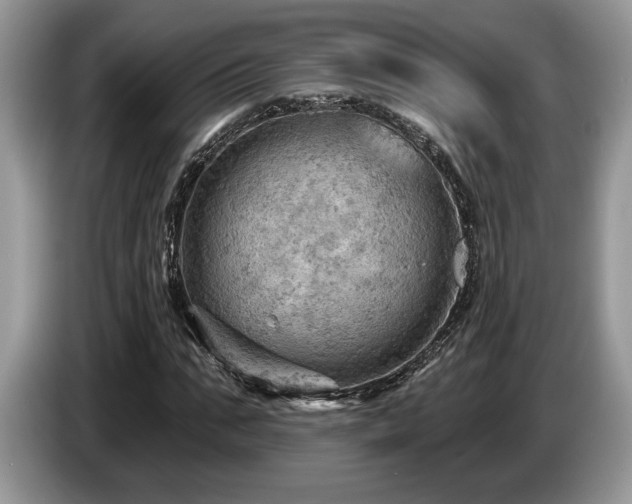 X0000087550871200704271206