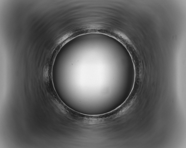 X0000087550873200704271206