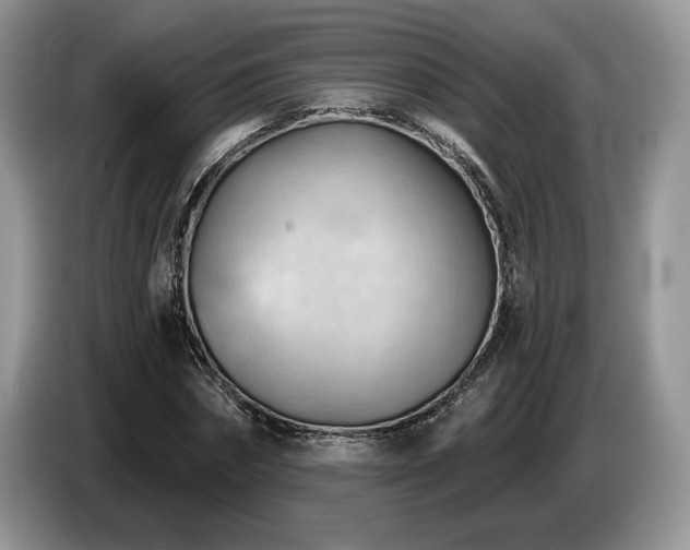 X0000087550874200704271206