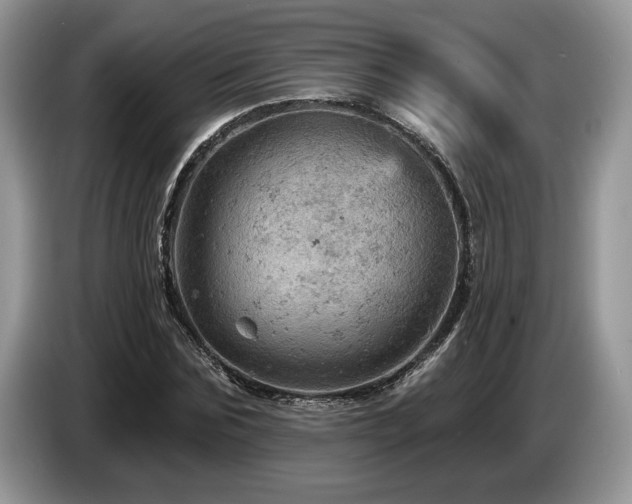 X0000087550875200704271206