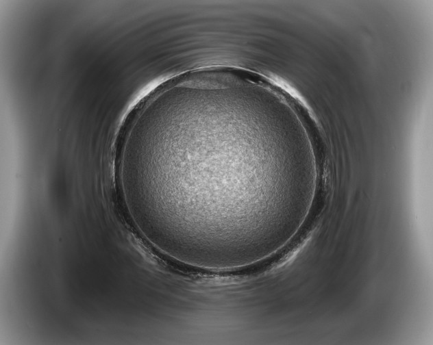 X0000087550877200704271206