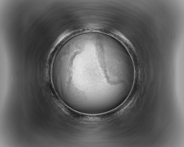 X0000087550878200704271206
