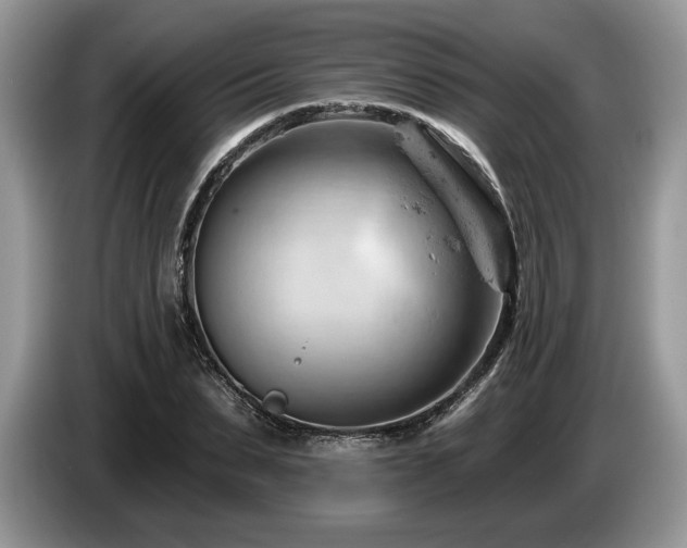 X0000087550879200704271206