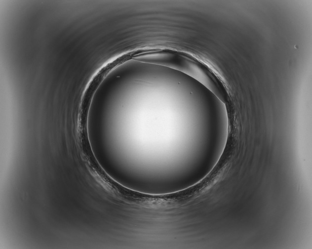X0000087550880200704271206