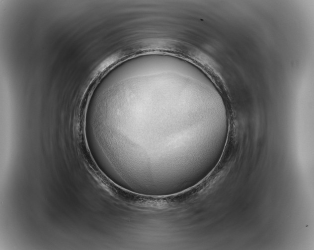 X0000087550882200704271206