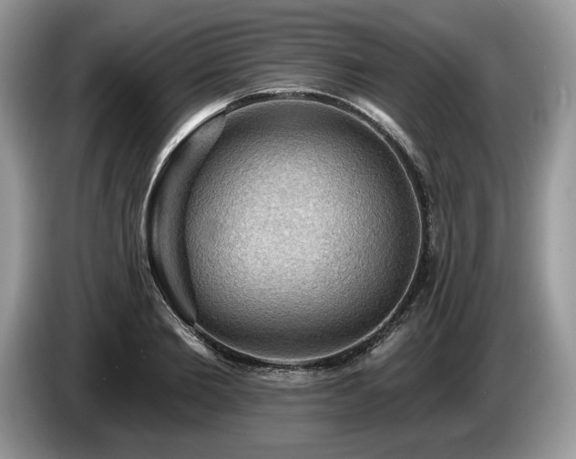X0000087550885200704271206