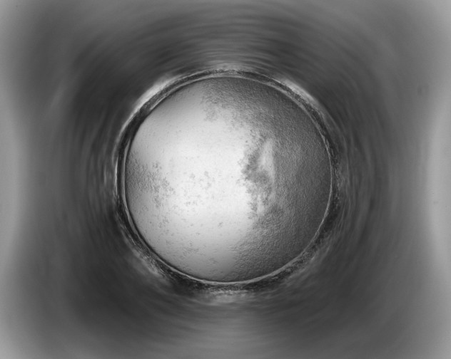 X0000087550886200704271206