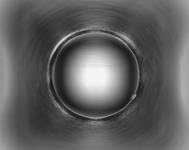 X0000087550888200704271206
