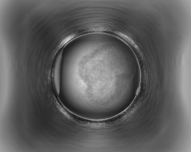 X0000087550889200704271206