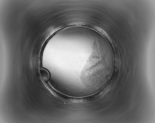 X0000087550890200704271206