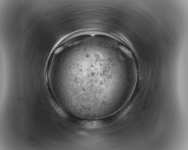 X0000087550891200704271206