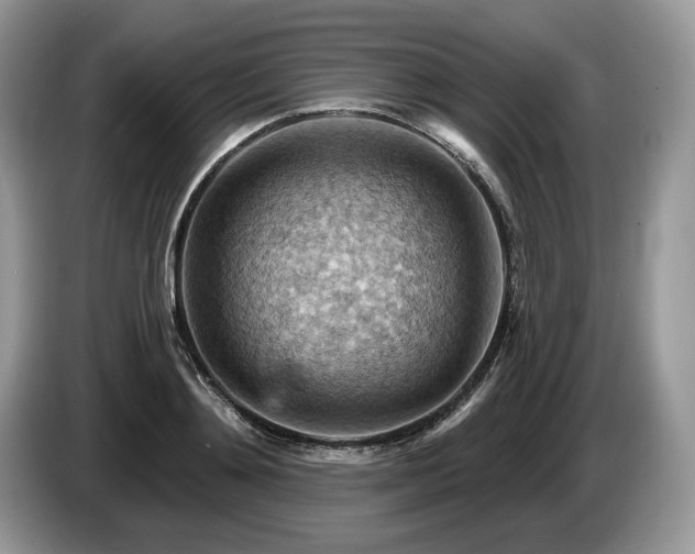 X0000087550892200704271206