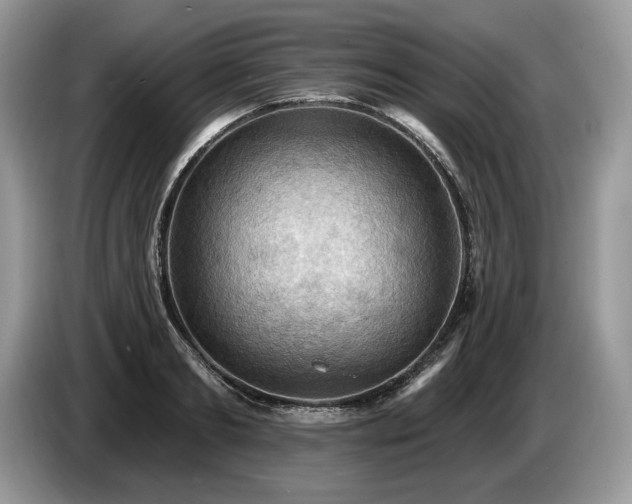 X0000087550893200704271206