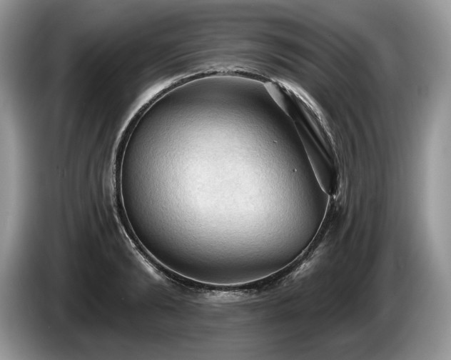 X0000087550894200704271206