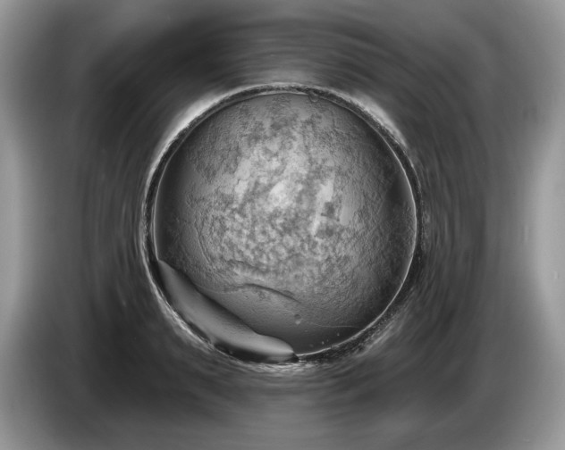 X0000087550895200704271206