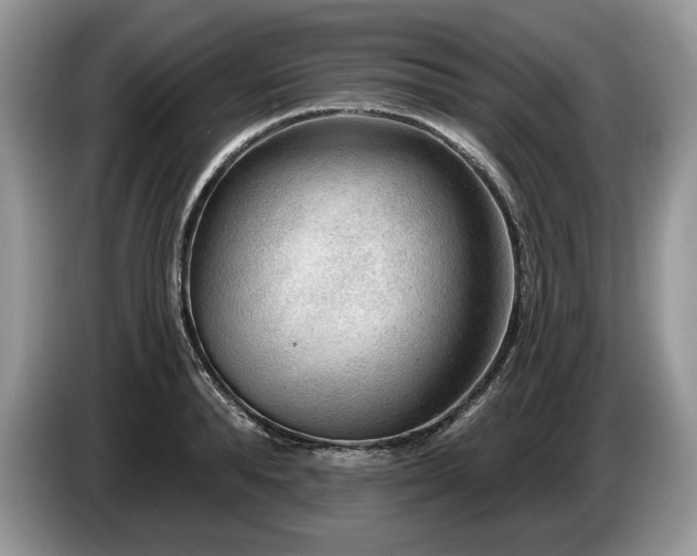 X0000087550896200704271206