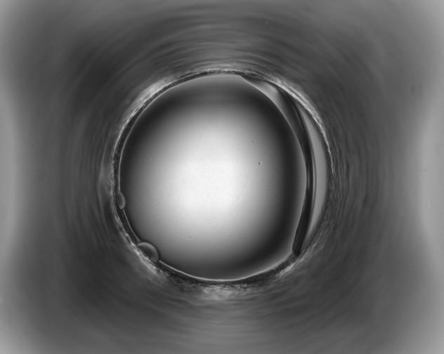 X0000087550898200704271206