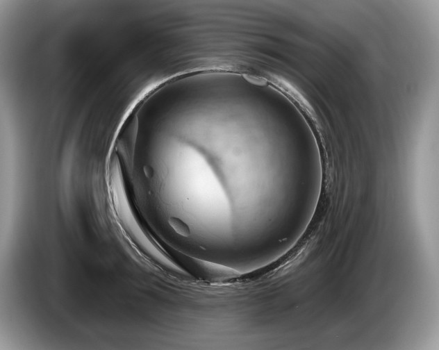 X0000087550899200704271206