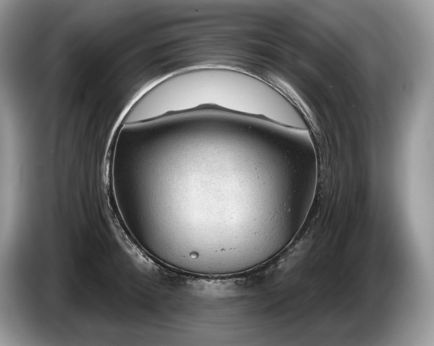 X0000087550900200704271206
