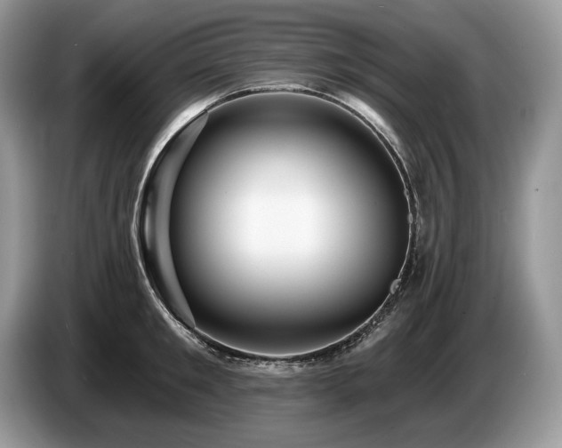 X0000087550901200704271206