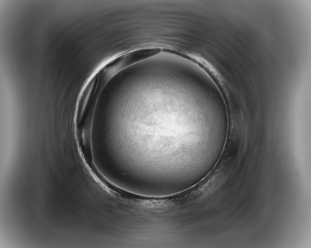 X0000087550902200704271206