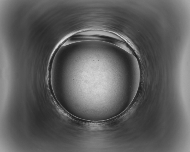 X0000087550904200704271206