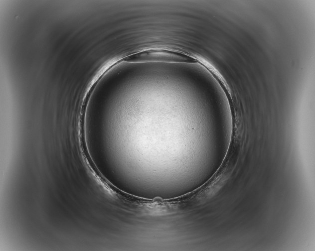 X0000087550906200704271206