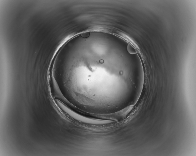 X0000087550907200704271206