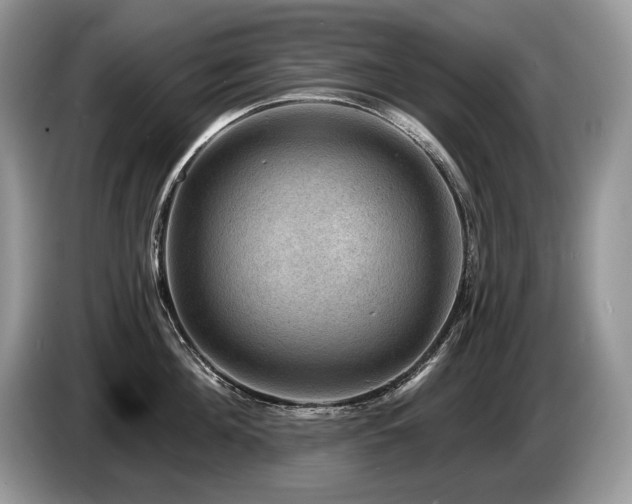X0000087550908200704271206