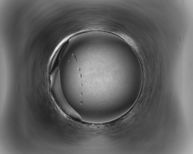 X0000087550912200704271206